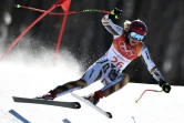 La Tchèque Ester Ledecka lors du super-G aux JO, le 17 février 2018 à Pyeongchang 
