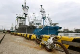 Des navires baleiniers japonais dans le port de Kushiro, avant leur départ pour la reprise de la chasse commerciale de la baleine, le 1er juillet 2019 au Japon