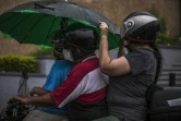 Des personnes à moto sous une pluie battante avant l'arrivée de la tempête Pamela, qui devrait se transformer en ouragan, le 12 octobre 2021 à Culiacan, au Mexique