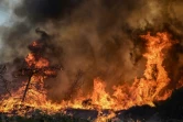 Un incendie de forêt près du village de Vati, sur l'île de Rhodes, le 25 juillet 2023 en Grèce