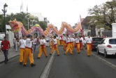Vendredi 22 juillet 2011 - Défilé d'inauguration pour les fêtes de Guan di 2011
(Photo Michel Désiré)