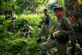 Des guerilleros maoïstes de la Nouvelle armée du peuple (NPA), dans les montagnes de la Sierra Madre, dans la jungle philippine, le 30 juillet 2017