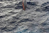 Photo fournie par la marine portugaise le 23 janvier 2022, montrant le bateau retourné du marin français Jean-Jacques Savin, au large de l'archipel portugais des Açores, le 21 janvier 2022