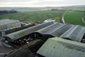 Photo aérienne de la ferme de Stapleton exploitée par  l'éleveur Adam Stanbury près de Barnstaple dans le sud-ouest de l'Angleterre, le 16 janvier 2025