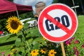 Un panneau anti-G20 installé par des activistes dans un parc de Hambourg, le 26 juin 2017 avant le sommet du G20