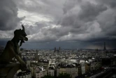 Une gargouille du toit de la cathédrale Notre-Dame de Paris, le 28 juin 2017
