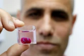 Le professeur Tal Dvir présente un prototype de coeur réalisé en impression 3D avec du tissu humain, le 15 avril 2019 à l'université de Tel-Aviv