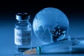 Photo d'illustration sur le vaccin du Covid-19, prise à Paris le 19 novembre 2020