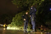 Des policiers près d'un arbre tombé sur la chaussée à Nice, le 3 octobre 2015