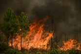 Incendie à Saint-Magne, le 11 août 2022 en Gironde