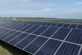 Une ferme solaire à Punta Gorda, le 22 avril 2016, en Floride