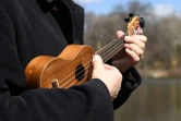 Instrument à quatre cordes, le ukulele est peu cher et facilement transportable
