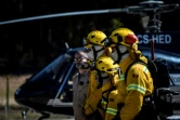 Des pompiers privés travaillant pour les groupes papetiers Navigator et Altri s'exercent à Abrantes, au Portugal, en août 2019