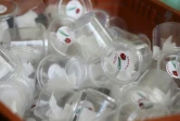 Des conteneurs avec des oeufs de coccinelles distribués à Caen, le 12 mai 2017 