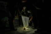 Etudiants et bénévoles capturant un crapaud-buffle, le 27 novembre 2021 dans le comté de Nantou, à Taïwan