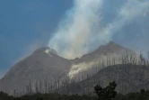 Des panaches de fumée s'échappent du mont Lewotobi Laki-Laki, vu depuis le village de Klatanlo sur l'île de Florès, en Indonésie, le 4 novembre 2024