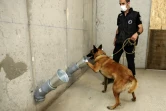 Un gendarme entraîne son chien à détecter une éventuelle odeur du coronavirus, le 30 avril 2020 à Ajaccio, en Corse
