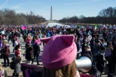 Manifestation pour la "Marche des femmes" à Washington, le 20 janvier 2018