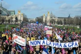 Des militants de "La Manif Pour Tous" défilent à Paris contre l'extension de la PMA (procréation médicalement assistée) à toutes les femmes et contre la GPA (gestation pour autrui) le 2 février 2014 