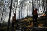 Des pompiers surveillent la progression d'un feu de forêt près du village de Bracal le 11 août 2017.