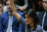 Nikki Haley au Conseil de sécurité de l'ONU le 22 décembre 2017 à New York