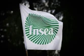 Le logo de la FNSEA lors d'une manifestation devant un site du groupe Lactalis à Bouvron, en Loire-Atlantique, le 18 janvier 2024