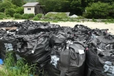 Des sacs remplis de terre contaminé par des radiations sont empilés près du village de Iitate, dans le district de Fukushima, le 17 juillet 2015