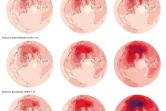 Les scénarios du réchauffement climatique