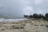 Une plage de Nassau à l'approche de l'ouragan Dorian, le 1er septembre 2019 aux Bahamas