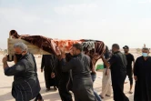 Une famille irakienne porte le cercueil d'un proche mort du coronavirus près de la ville de Najaf, le 11 septembre 2020, après la récente autorisation donnée aux familles des victimes du nouveau coronavirus de les enterrer dans les caveaux familiaux