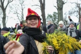 Une manifestante "gilet jaune" offre des brins de mimosa, samedi 19 janvier 2019 à Paris