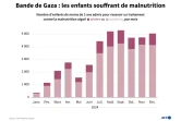 Bande de Gaza : les enfants souffrant de malnutrition
