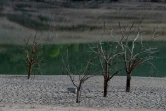 Les berges asséchées du marais de Sau, le 16 avril 2023 dans la province de Gérone, en Catalogne