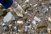 Lara Maiklem, une "mudlark" (littéralement "fouilleuse de boue"), trouve une pipe d'argile sur les rives du fleuve Thames à Londres, le 29 mai 2019.