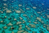 Vue aérienne de coraux blanchis en Australie, sur une photo prise par Ed Roberts et fournie par le Centre d'excellence pour les études sur les récifs coralliens de l'Australian Research Council (ARC)