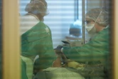 Des soignants s'occupent d'un patient contaminé par le Covid-19 au CHRU de Tours, le 31 mars 2020
