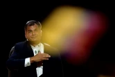 Le président équatorien Rafael Correa, le 29 janvier 2017 à Valence, en Espagne