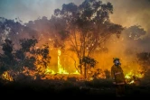 Des pompiers luttent contre un incendie dans la région touristique de Margaret River, le 8 décembre 2021 en Australie