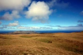 Un paysage de l'île de Pâques, le 11 août 2013 dans l'océan Pacifique