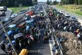 Des agriculteurs participent à un barrage routier avec leurs tracteurs sur l'autoroute A9 près de Nîmes, dans le sud de la France, le 29 janvier 2024
