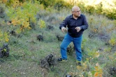 Christodoulos Orphanides, maire de Tsakistra, montre des vignes en partie abandonnées, le 5 novembre 2018 à Chypre