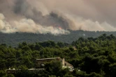 La fumée s'élève au-dessus de Kineta, près d'Athènes, en proie à un feu de forêt le 23 juillet 2018