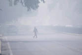 Un homme traverse la rue à New Delhi, plongée dans un brouillard de pollution, le 4 novembre 2019