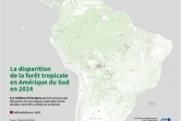 La disparition de la forêt tropicale en Amérique du Sud en 2024