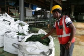 Des sacs de cobalt après une première transformation à Lubumbashi le 16 février 2018. 