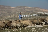 Un colon de la colonie israélienne d'Almog près de l'avant poste Maale Shlomo, le 17 janvier 2016