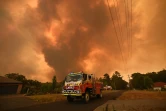 Des pompiers luttent contre les feux de forêts à Bargo, au sud-ouest de Sydney, le 21 décembre 2019 en Australie