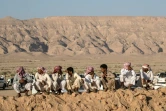 Des bédouins assistent à une course de chameaux dans le désert du Sud-Sinaï, le 12 septembre 2020