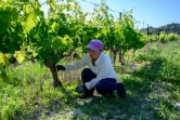 Clarisse Brillouet, une danseuse de 29 ans, dans le vignoble de l'exploitation agricole, le 28 mai 2020, à Malaucène