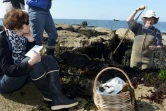 André Berthou, algoculteur breton, explique à un groupe comment cueillir et récolter les algues, à Trégunc, dans le Finistère, le 12 avril 2017